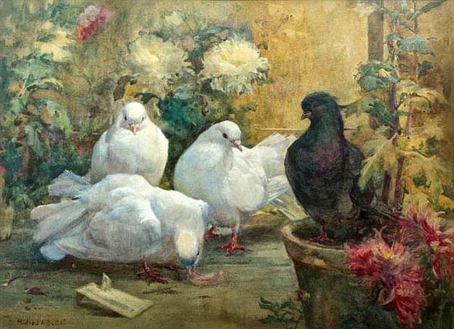 The Doves